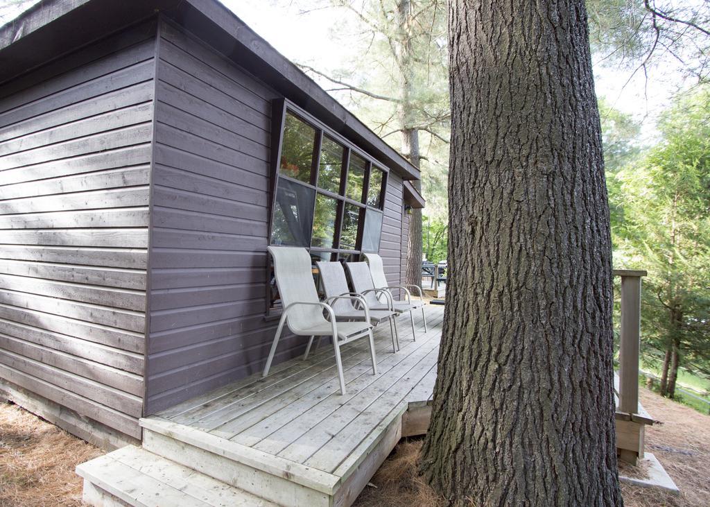 The Pines Cottage Resort Oxtongue Lake Екстериор снимка