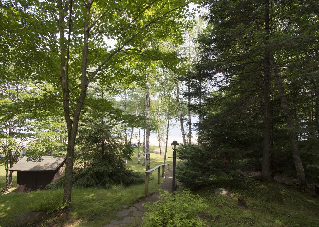 The Pines Cottage Resort Oxtongue Lake Екстериор снимка