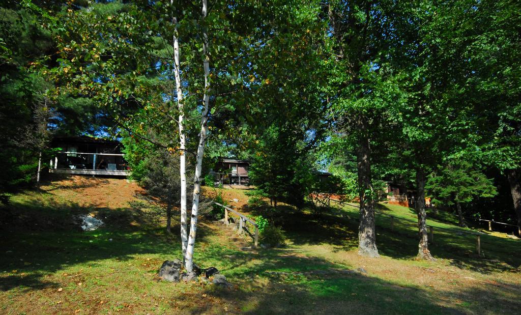 The Pines Cottage Resort Oxtongue Lake Екстериор снимка