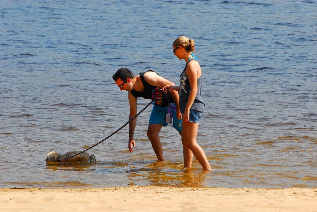 The Pines Cottage Resort Oxtongue Lake Екстериор снимка