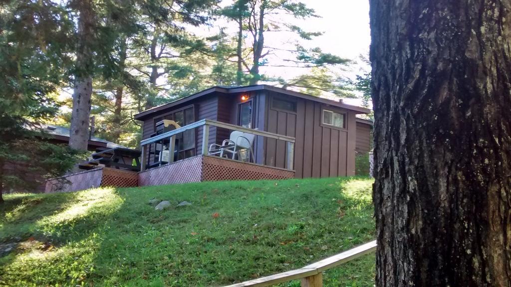 The Pines Cottage Resort Oxtongue Lake Стая снимка